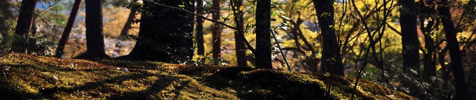 Telluslainen Kronikka
